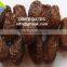 Bleached Dried Dates High Quality Healthy GMO-FREE Fruit Products by GNS Pakistan