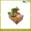 fruit and vegetable corrugated box