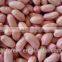Supply Chinese Peanut Kernels Long for Sales