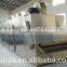 DW Series Vegetable Belt Dryer