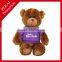 ICTI Audited factory plush teddy bear