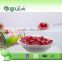 good quality chinese canned red kidney beans