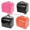 Large Faux Leather Beauty Cosmetic Makeup Vanity Case Nail Art Box