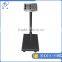 popular electronic platform scale 100kg /300kg / price computing weighing balance scale