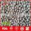 Hot sale white kidney beans from China