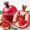 GMP Manufacturer Supply Natural Pomegranate Extract with Punicalagin