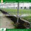 Multifunctional customizable galvanized movable seedbed rolling bench
