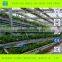 Multispan Plastic Film Greenhouse for Tomato Cucuber Flower Horticulture