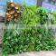 plastic green wall for living room decoration,mini green wall interior decoration