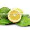 Bergamot oil