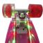 HSJ259 Factory sales LED Skateboard fish board customize design for kids and adults