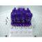 supply the foot bathtub mold