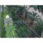 China New SL electric wire mesh fence