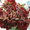 Good Quality 2 Branches Artificial PE Blue Berry For Christmas Decoration