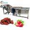 Wide Application Leafy Vegetable Lettuce Spinach Fruit and Vegetable Washing Machine with Drying Function