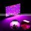 Indoor LED Grow Light 600 Watt Full Spectrum Plant Light with Switch for greenhouse