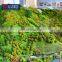 Professional manufacture making Architectural Topographic Scale Models with model railroad and miniature model tree
