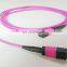 OM4 100G MPO MTP Fiber Optic Patch cord 8/12 fibers