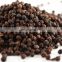 Pure Natural Piperine 98% Powder wholesale black pepper plants extract for sale