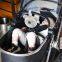 TUODI Koala Animal tragbares Baby-Wei?e-Rauschen-Ger?t, Schlafhilfe, Geburtstagsgeschenk, Lautsprecher mit Zeitabschaltung, Soundger?t