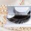 Superior Grade Eyelashes extension