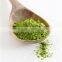 High Grade Mulberry Leaf Powder For Sales From India