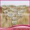 Unprocessed Malaysia Human Hair Remy Straight Clip In Hair Extension