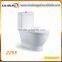 Chaozhou ceramic Siphonic one piece toilet