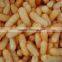 Automatic baked or fried twists extruder