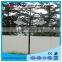 popular design waterproof solar pathway light