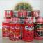 Hot Sale! 70g~3000g tomato paste in can