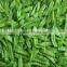 IQF frozen pea pods with BRC certificate
