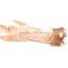 Popular New design Plush Chew Dog Toy