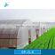 Cheap UV-anti Plastic Film Tunnel Greenhouse
