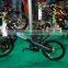 Seagull,cheap electric bike 800w
