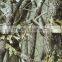 Fantastic Dazzle Digital Camouflage No.DGM-12520 Water Transfer Printing Film Hydrographic Film