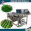 SGS certificate automatic vegetable washing machine