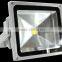 Waterproof Led Flood Light Led COB Reflector COB30W