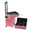 hot sale large pink beauty professional aluminum cosmetic case makeup trolley case