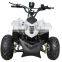 1000W 48V Electric Quad Bike for Sale