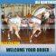 [Ali Brothers]Carousel for sale upper-transimission merry-go-round