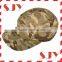 Wholesale Custom made 5 Panel Camo Baseball Cap