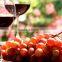 Gold supplier of grape wine equipment