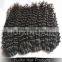 Unprocessed Factory Price Human Hair Extensions, Mongolian Kinky Curly Hair