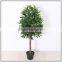 Artificial Indoor Olive Tree With Fruits