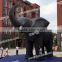 simulation animal / inflatable elephant / the high simulation elephant