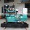 China Supplier 2 Cylinder 10kw/13.6hp SP2100DT Gas Engine Small Biogas Generator