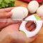 Top Egg opener Topper Cutter & Egg Cup Egg Topper