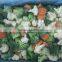 new season califlornia vegetable