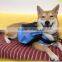 backpack for dog